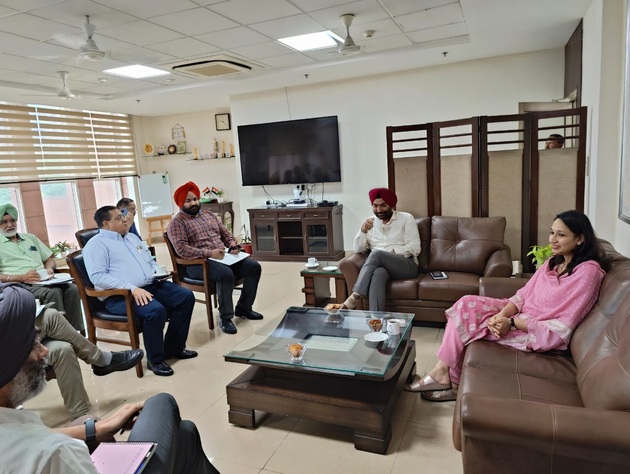 Deputy Commissioner Reviews Beautification Plan for Entry and Exit Points of SAS Nagar District